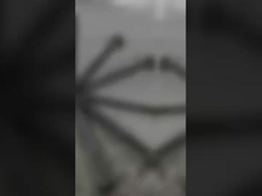 13711-0L010 13711-30040 Intake Engine Valve For TOYOTA HIACE IV Bus (H1H2) 2.5D-4D